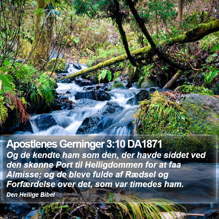 Apostlenes Gerninger 3:10 DA1871 Bible Study