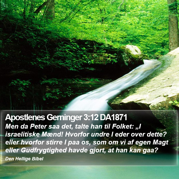 Apostlenes Gerninger 3:12 DA1871 Bible Study