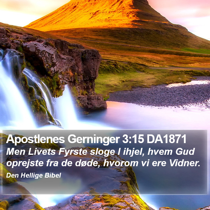 Apostlenes Gerninger 3:15 DA1871 Bible Study