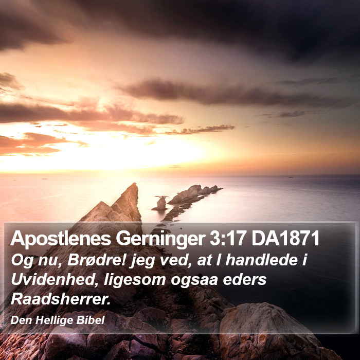 Apostlenes Gerninger 3:17 DA1871 Bible Study