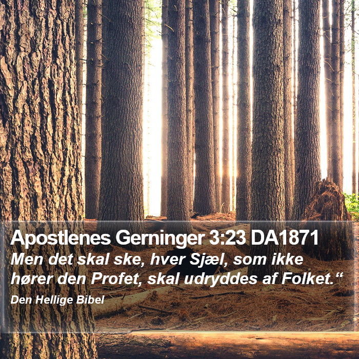 Apostlenes Gerninger 3:23 DA1871 Bible Study