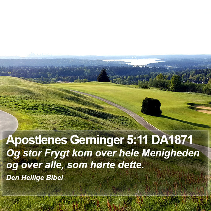 Apostlenes Gerninger 5:11 DA1871 Bible Study