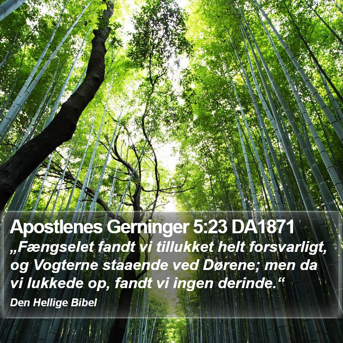 Apostlenes Gerninger 5:23 DA1871 Bible Study