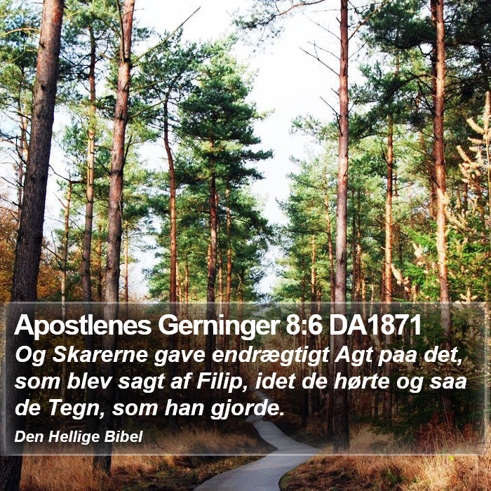 Apostlenes Gerninger 8:6 DA1871 Bible Study