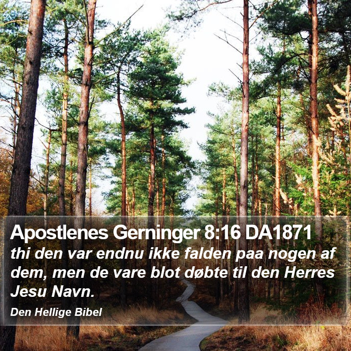 Apostlenes Gerninger 8:16 DA1871 Bible Study