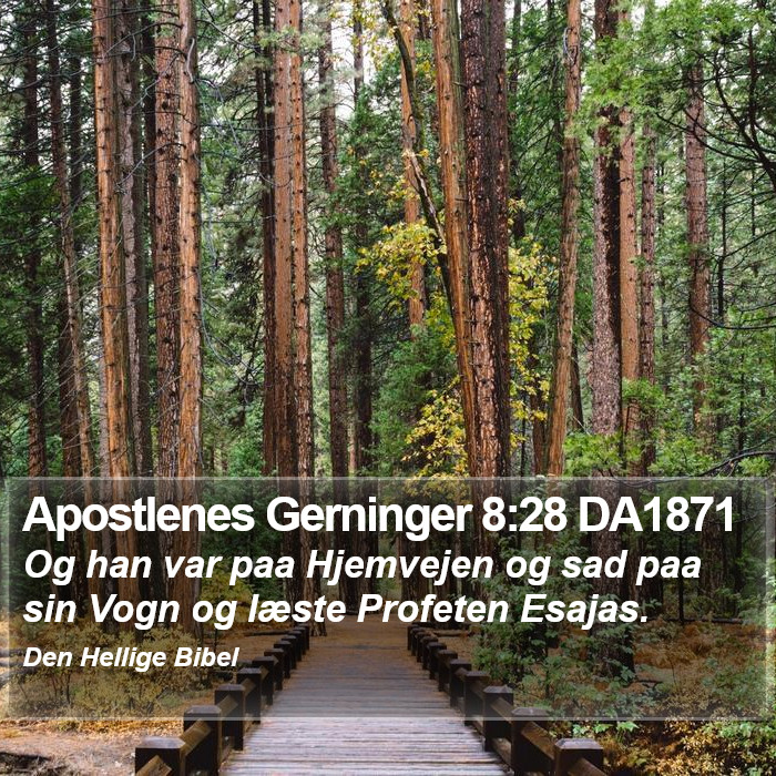 Apostlenes Gerninger 8:28 DA1871 Bible Study