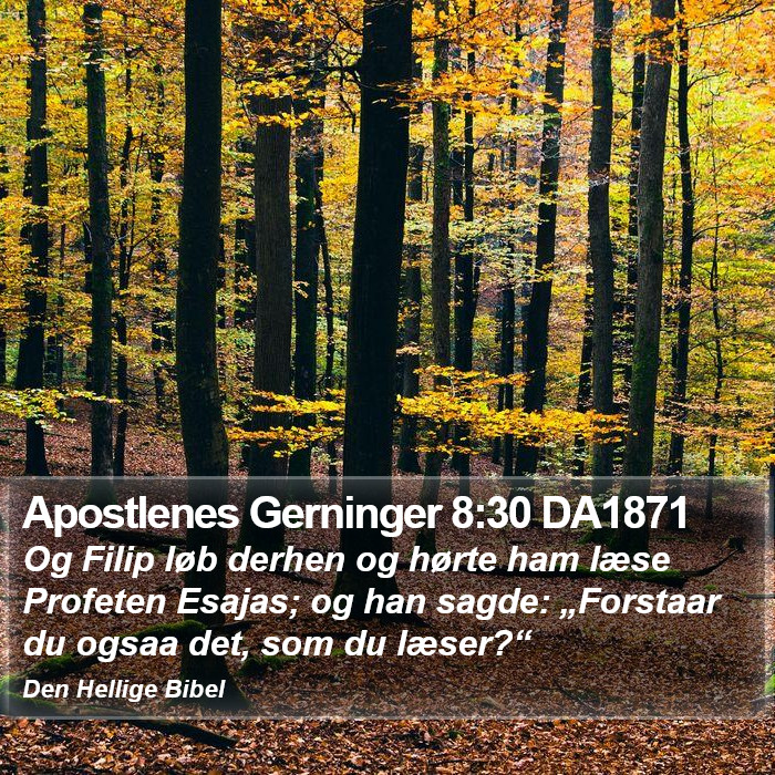 Apostlenes Gerninger 8:30 DA1871 Bible Study