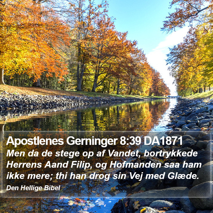 Apostlenes Gerninger 8:39 DA1871 Bible Study