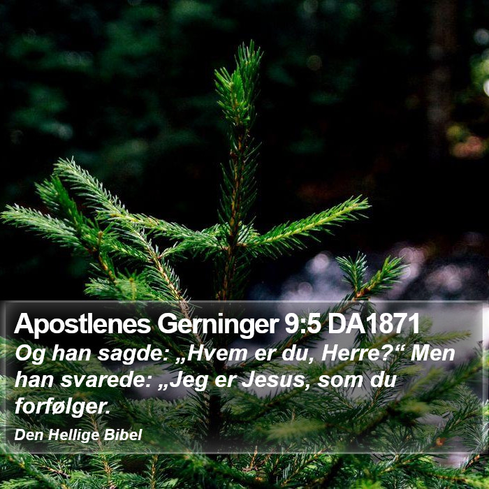 Apostlenes Gerninger 9:5 DA1871 Bible Study