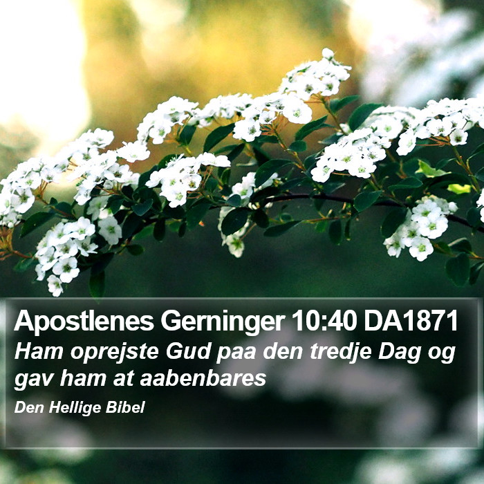 Apostlenes Gerninger 10:40 DA1871 Bible Study