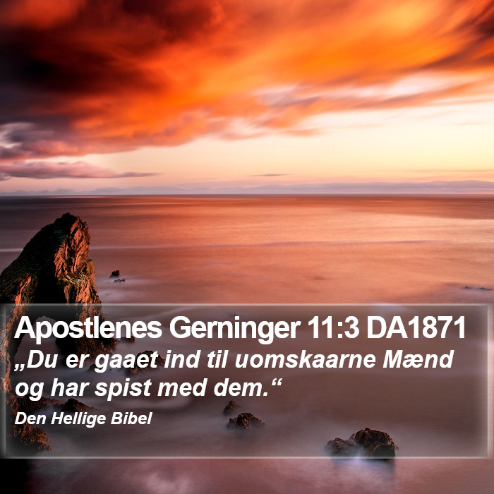 Apostlenes Gerninger 11:3 DA1871 Bible Study