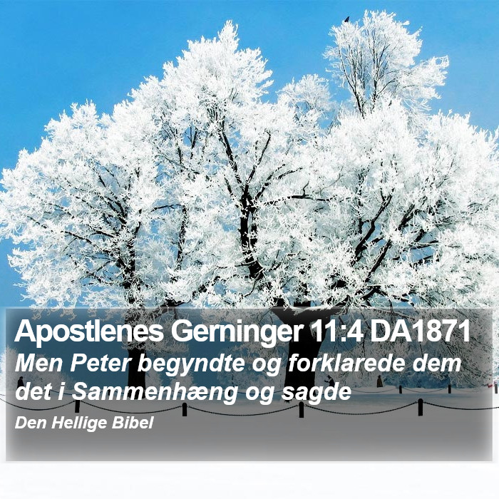 Apostlenes Gerninger 11:4 DA1871 Bible Study