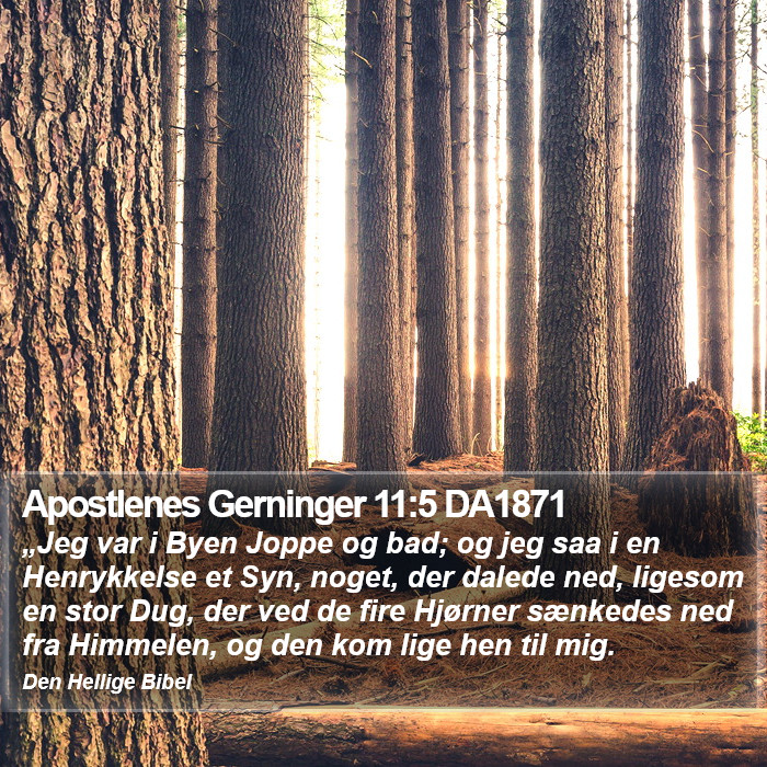 Apostlenes Gerninger 11:5 DA1871 Bible Study