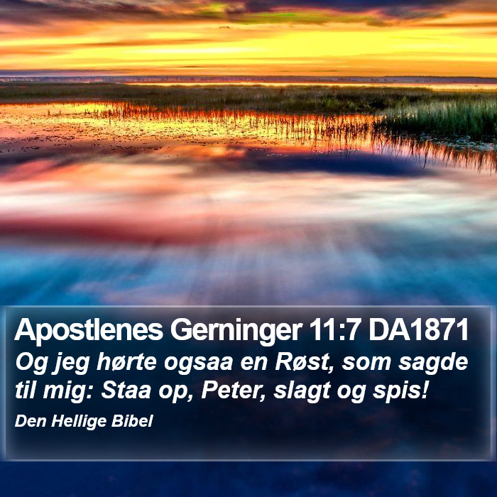 Apostlenes Gerninger 11:7 DA1871 Bible Study