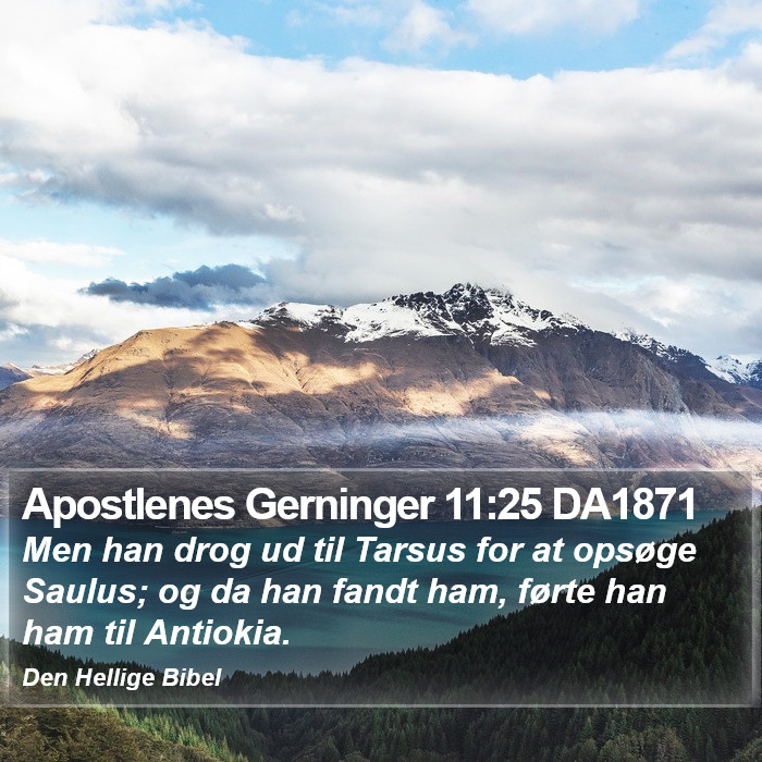 Apostlenes Gerninger 11:25 DA1871 Bible Study