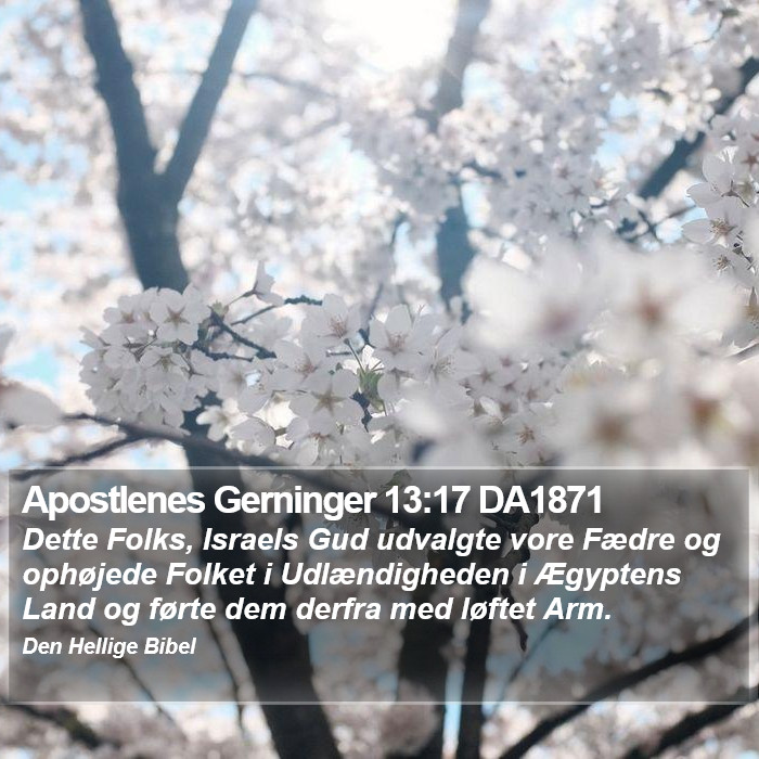 Apostlenes Gerninger 13:17 DA1871 Bible Study