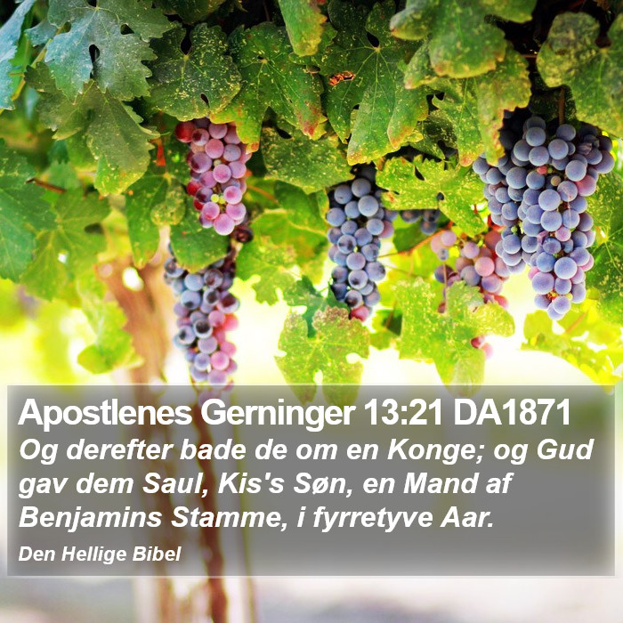 Apostlenes Gerninger 13:21 DA1871 Bible Study