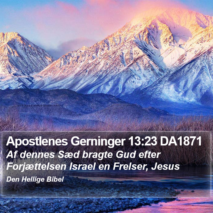 Apostlenes Gerninger 13:23 DA1871 Bible Study