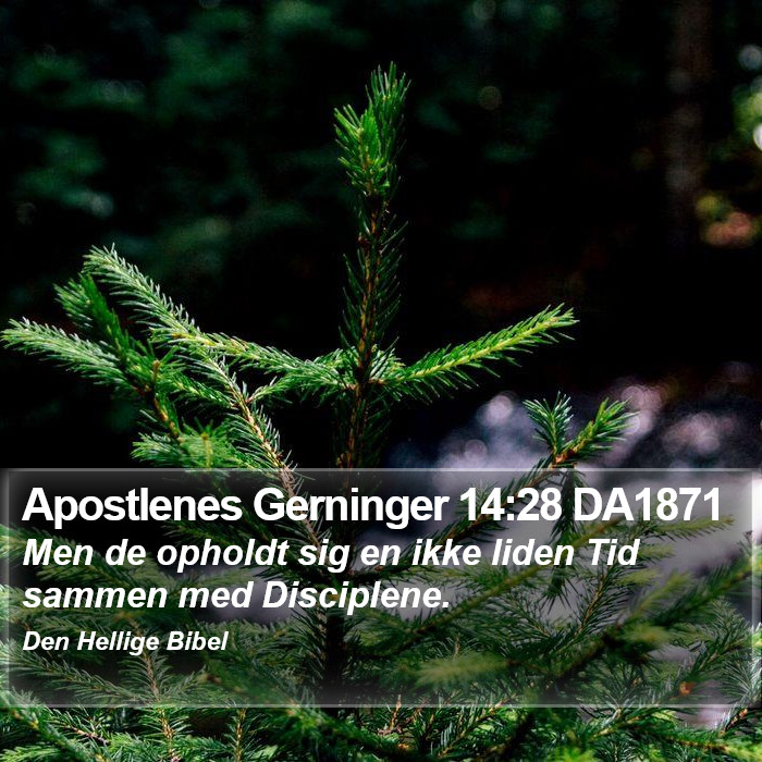 Apostlenes Gerninger 14:28 DA1871 Bible Study