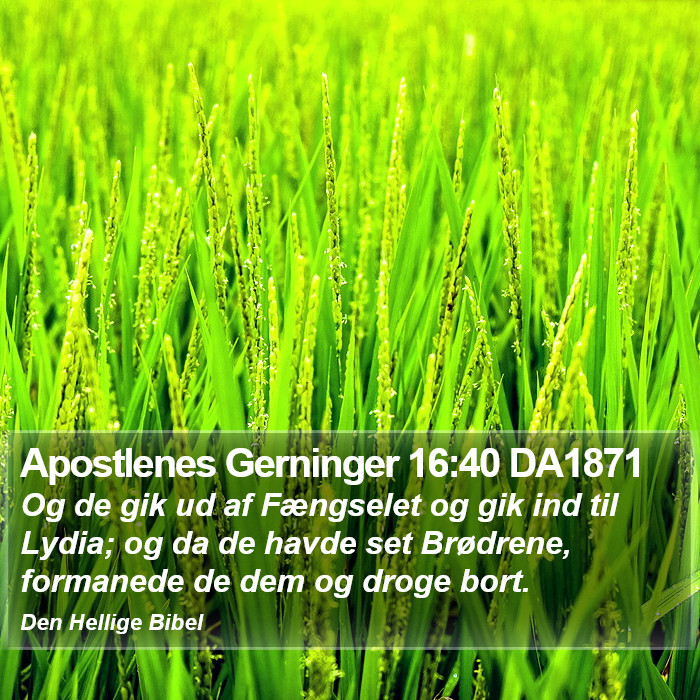 Apostlenes Gerninger 16:40 DA1871 Bible Study