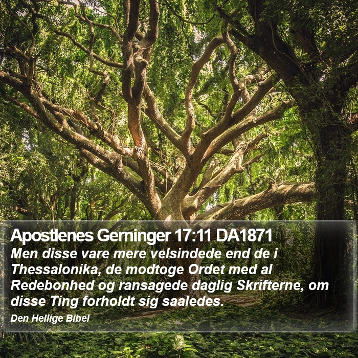 Apostlenes Gerninger 17:11 DA1871 Bible Study