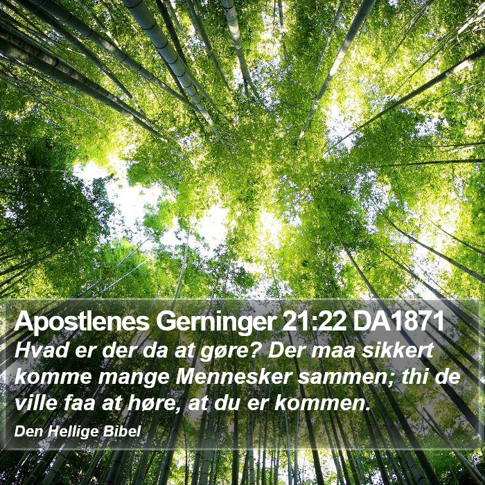 Apostlenes Gerninger 21:22 DA1871 Bible Study