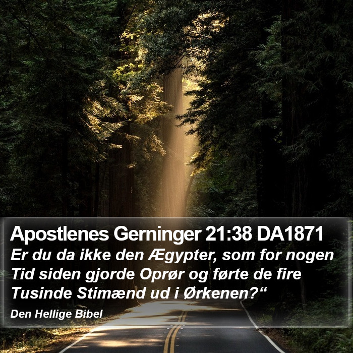 Apostlenes Gerninger 21:38 DA1871 Bible Study