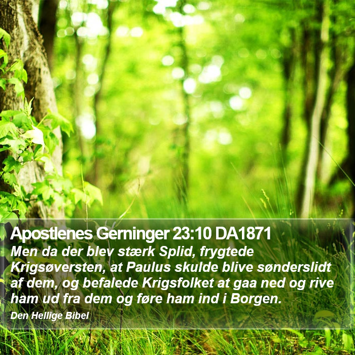 Apostlenes Gerninger 23:10 DA1871 Bible Study
