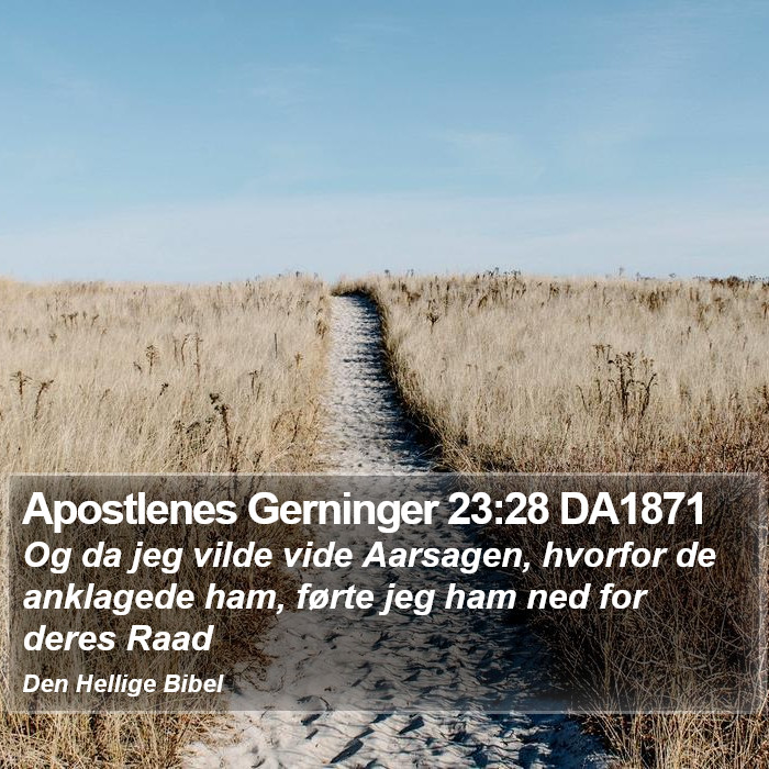 Apostlenes Gerninger 23:28 DA1871 Bible Study