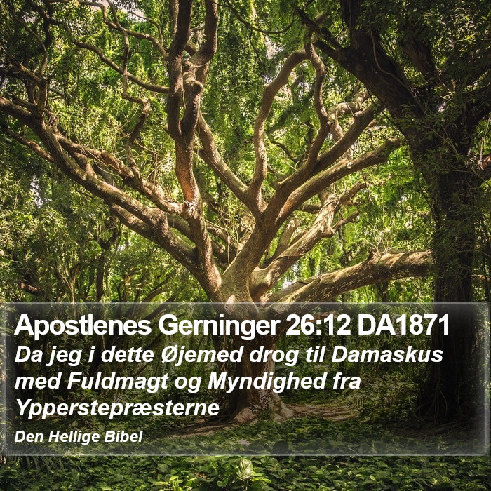 Apostlenes Gerninger 26:12 DA1871 Bible Study