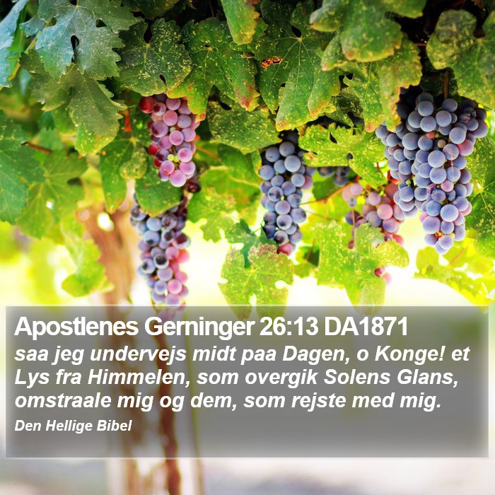 Apostlenes Gerninger 26:13 DA1871 Bible Study