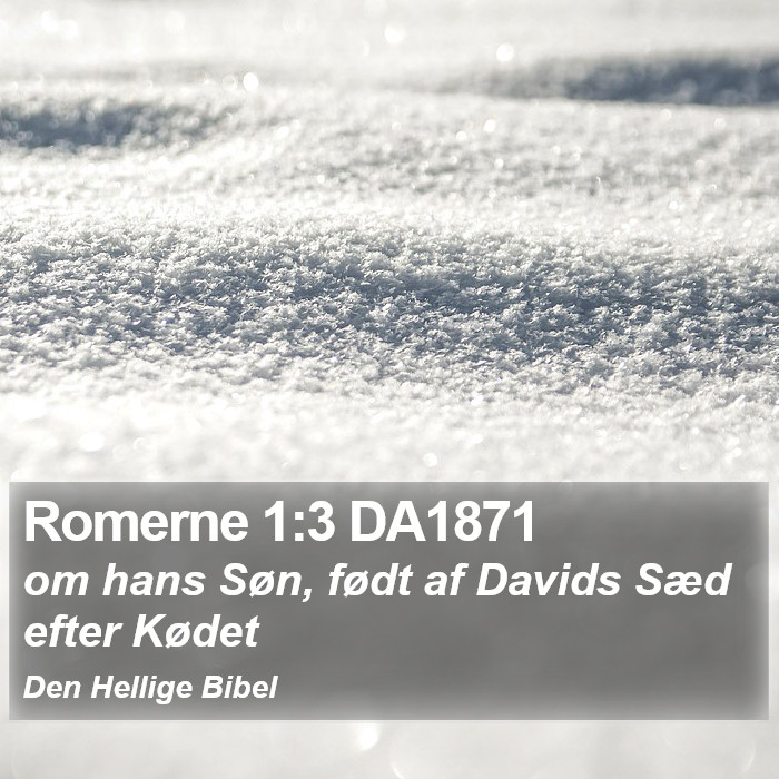 Romerne 1:3 DA1871 Bible Study