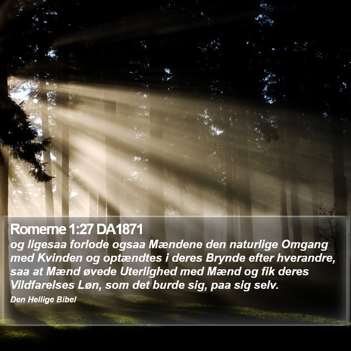 Romerne 1:27 DA1871 Bible Study