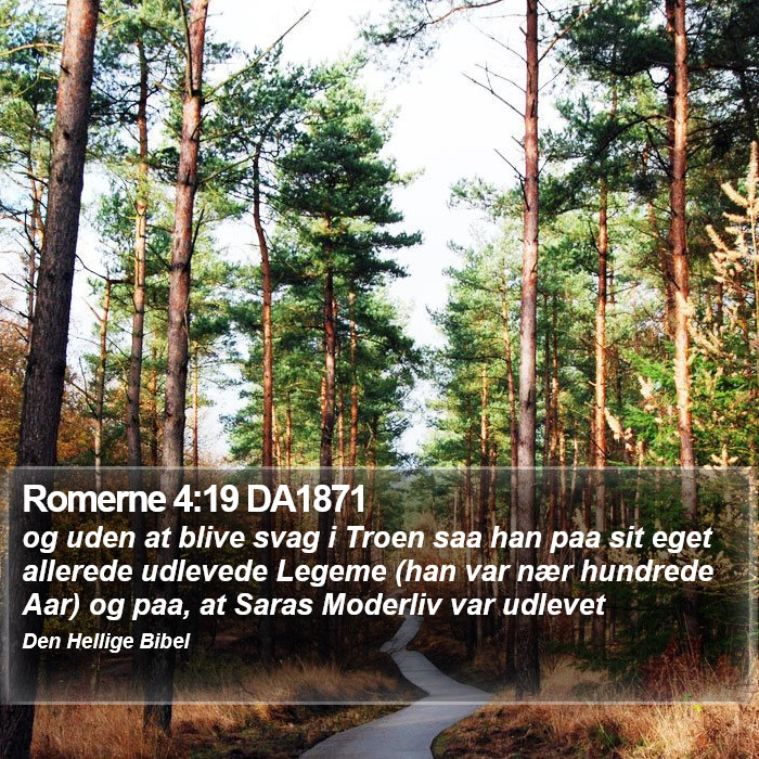 Romerne 4:19 DA1871 Bible Study