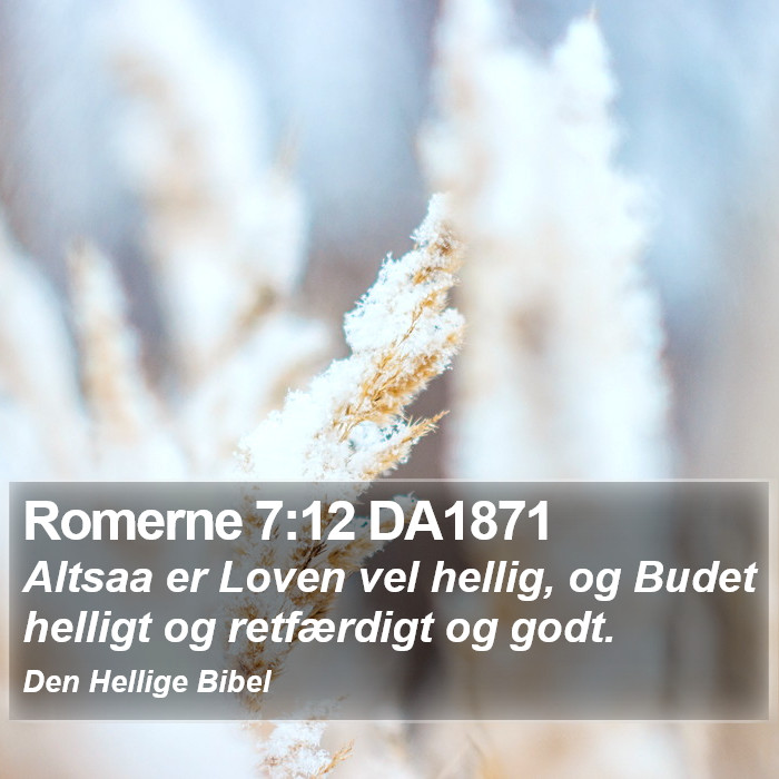 Romerne 7:12 DA1871 Bible Study