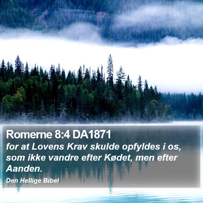 Romerne 8:4 DA1871 Bible Study