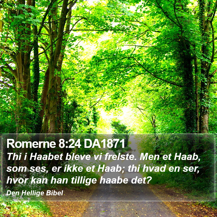 Romerne 8:24 DA1871 Bible Study