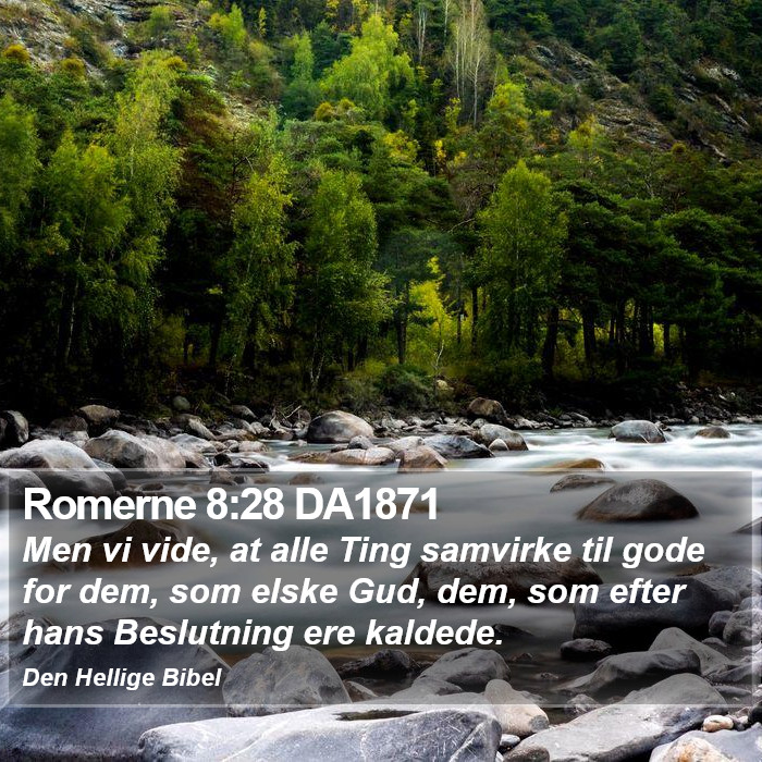 Romerne 8:28 DA1871 Bible Study