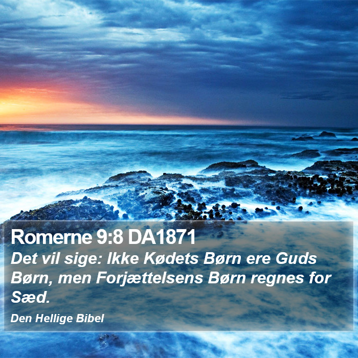 Romerne 9:8 DA1871 Bible Study