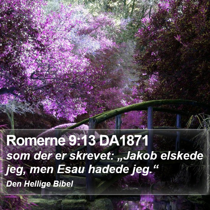 Romerne 9:13 DA1871 Bible Study