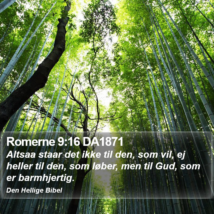 Romerne 9:16 DA1871 Bible Study