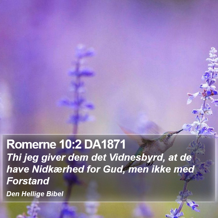 Romerne 10:2 DA1871 Bible Study