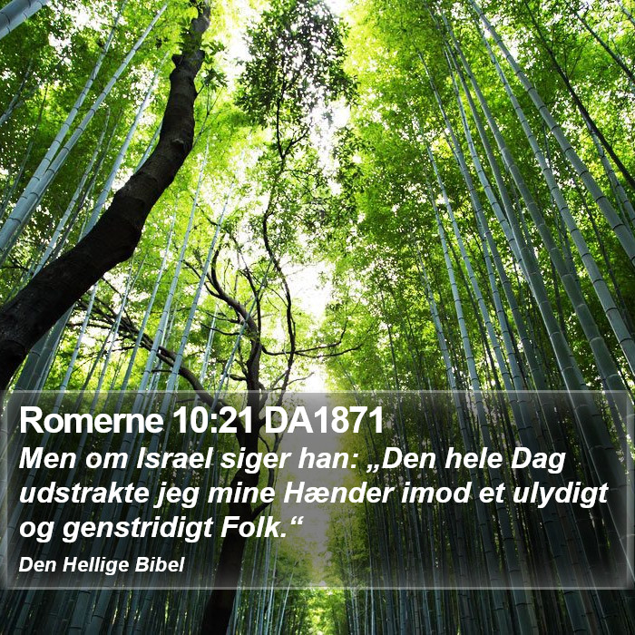 Romerne 10:21 DA1871 Bible Study