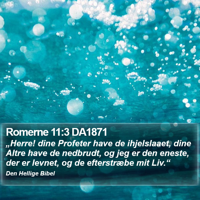 Romerne 11:3 DA1871 Bible Study