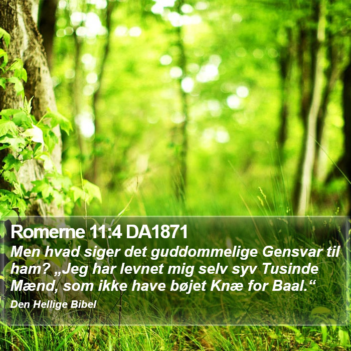 Romerne 11:4 DA1871 Bible Study