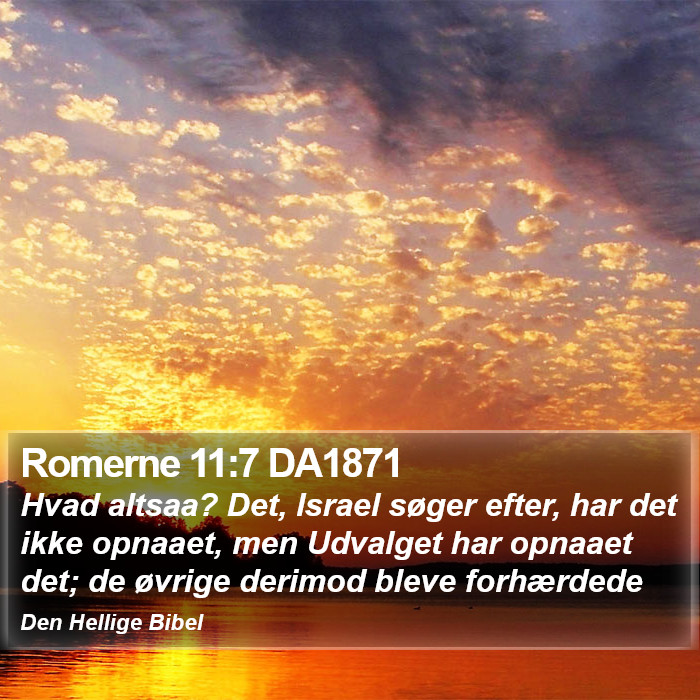 Romerne 11:7 DA1871 Bible Study