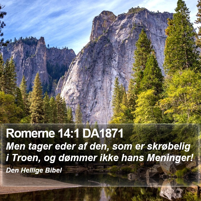 Romerne 14:1 DA1871 Bible Study