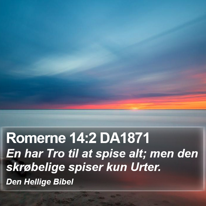 Romerne 14:2 DA1871 Bible Study