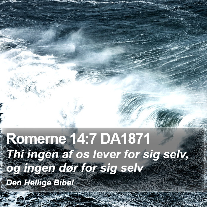 Romerne 14:7 DA1871 Bible Study