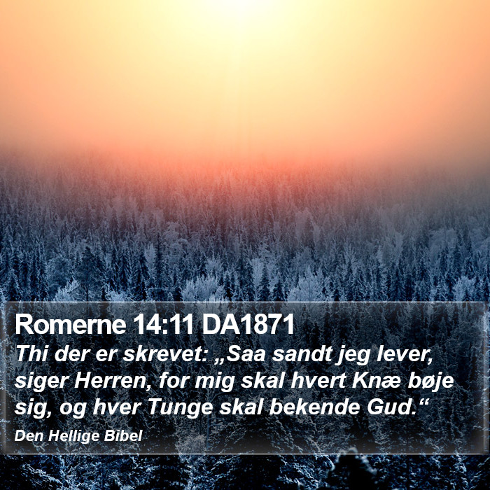 Romerne 14:11 DA1871 Bible Study